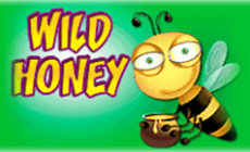 Игровой автомат Wild Honey